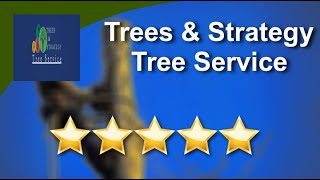 Trees & Strategy Tree Service Reviews - 5 Stars for Tree Service in Tucson, Arizona