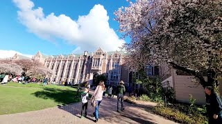 University of Washington 2023🇺🇲🌸🌸