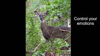 ASMR encounter with a Deer as a new bow hunter, lessons learned for Beginner Hunters unedited video