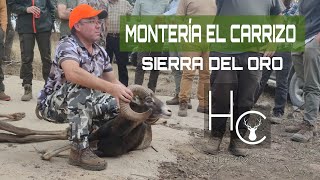 MONTERIA EN SIERRA DEL ORO (MANCHA EL CARRIZO)