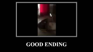 boa noite bruno GOOD ENDING #memes #goodending