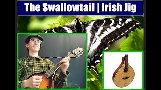 The Swallowtail | Irish Jig | Octave Mandolin | Cover by Mark Berglin