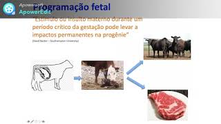 Explorando a Programação Fetal em Bovinos de Corte - Philipe Moriel