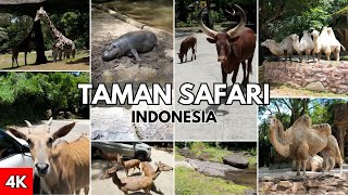 TAMAN SAFARI BOGOR 2024 | KEBUN BINATANG POPULER DI INDONESIA