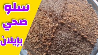 تحضيرات رمضان: طريقة تحضير سلو أو السفوف صحي بإيلان Sellou recipe