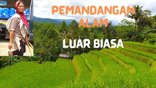 Pemandangan Alam Desa Tanjungkarang yang Luar Biasa | 4K