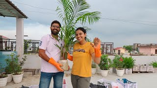 Rooftop Terrace Garden Makeover | #vlog35