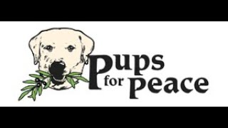 Pups for Peace  -  explosive detection dogs. save the worls, entire