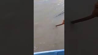 Amazing Rural Fishing Video 🐟 Best Asian Fishing Technique 🐟 #shorts