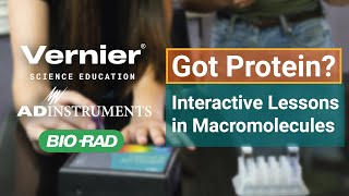 Got Protein? Interactive and Engaging Lessons in Macromolecules for College Biology Students