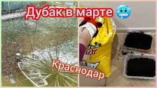 Дубак в марте 🥶 Что посадила🌹 Обзор семян март 2022🌹 Переезд в Краснодар