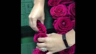 How to create a real rose flower wall