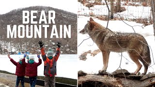 Bear Mountain State Park New York 2021 - Exploring Bear Mountain Inn, Zoo & Ice Rink