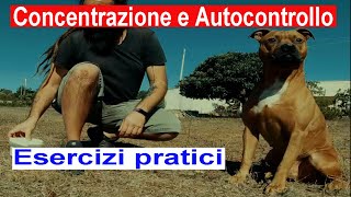 Concentrazione e Autocontrollo. Esercizi pratici #1