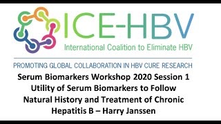 ICE-HBV Serum Biomarkers Workshop - Utility of Serum Biomarkers