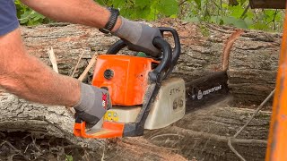 Harvesting roadside treasure - Woodcutters 5/8