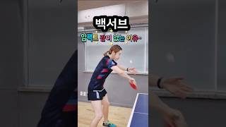 백서브 임팩트 감이 없는 이유/그립의 중요성 #탁구 #탁구서브 #탁구백서브