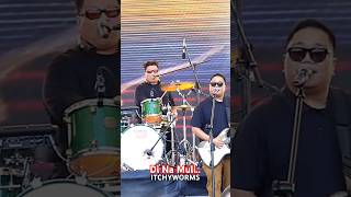 ITCHYWORMS performs "DI NA MULI" LIVE #liveperformance #live #music #musicfestival #shorts #opm