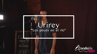 Urirey: Los peces en el río - Condislife Music