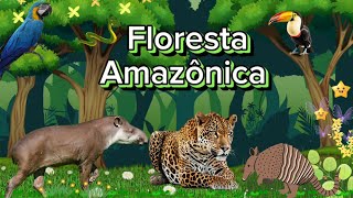 Na Floresta Amazônica tem muitos ANIMAIS, cada um com o seu jeito ESPECIAL de ser