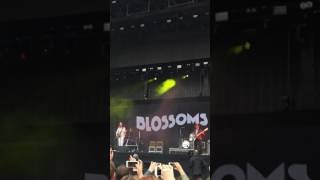 Blossoms - Honey Sweet (Live at TRNSMT - Glasgow)