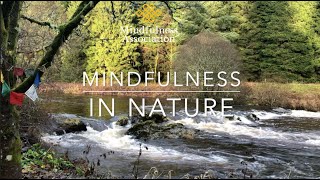 Mindfulness in Nature at Samye Ling