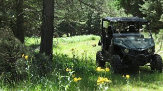 Mogollon Rim - Hidden Roads 3, Arizona