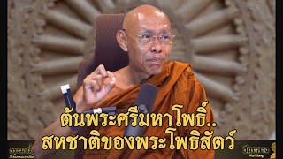 ต้นพระศรีมหาโพธิ์ สหชาติของพระโพธิสัตว์