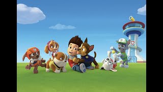 11 Years Of PAW Patrol...