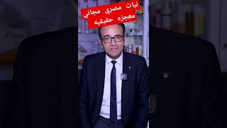 نبات مصري مجاني معجزه حقيقيه  #health #طبيعه