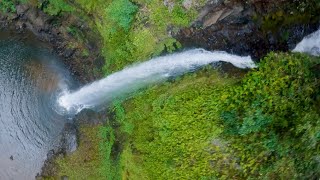 Remote rainforest waterfall fpv dive