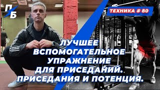 Лучшее вспомогательное упражнение для приседаний. Приседания и потенция