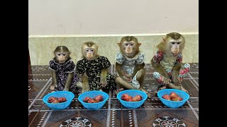 4 Siblings Sit Meditating Very Calmly Waiting Mom To Come & Join Them Dessert Treat ,