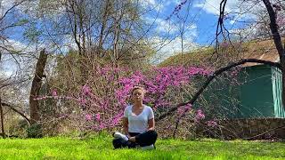 7 Min Guided Meditation | You Are Exquisite | Meditate on an Object