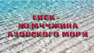 Ейск - жемчужина Азовского моря