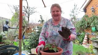 Forest School | Planting bulbs a bit late