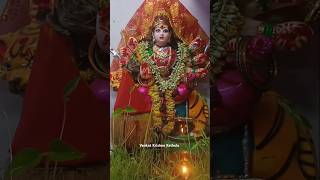 My Home #durgamata #durgamaa #durgapuja #navratri #nimajjanam #visarjan #viral #trending #shorts #yt