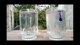 5 Science Experiment | Experiment At Home| Simple Ideas