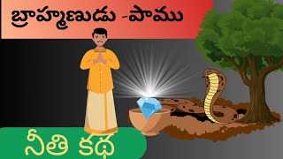 Moral story |||బ్రాహ్మణుడు -పాము ||పంచతంత్రం కథలు