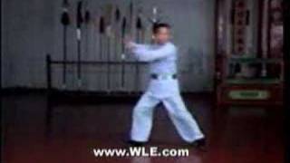 Introductory Shaolin and Lian Bu Chuan