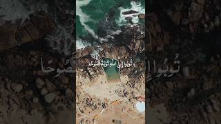 تلاوة خاشعة وهادئة للقرآن الكريم للشيخ ماهر المعيقلي #القرآن_الكريم#quran #ماهر_المعيقلي#تلاوة_خاشعة