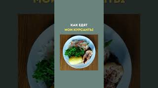 Что едят мои курсанты?