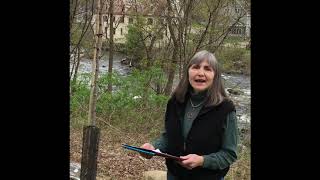 Warren Tannery Arbor Day Program