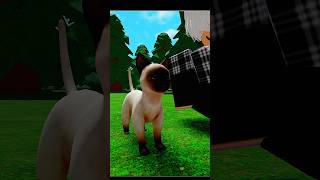 THE CAT IS VERY CUTE || Roblox Edit || #shorts #roblox