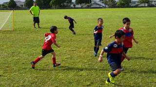 Aiden soccer A 11-19-16