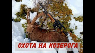 Горная охота на Козерога! Видео от подписчика. Охота на козерога с подхода!