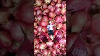 ONION BOY 🧅 #shorts #trending #viral