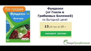 Купить Фунгицид Фундазол. Средство от Гнили и Грибковых Болезней Растений