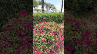 Hermoso paisaje | Malecón de Barranco | Lima Perú | Noviembre de 2024