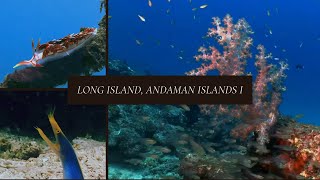 Diving around Long Island in the Andaman Islands (India) - Clip 1